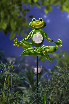 Yoga kikker op grondpen
