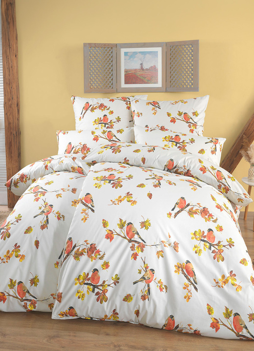 Beddengoed - Beddengoedset in Renforcé-kwaliteit, in Größe 111 (40 x 80 cm + 135 x 200 cm) bis 115 (80 x 80 cm + 155 x 220 cm), in Farbe MULTICOLOR Ansicht 1