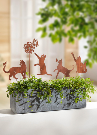 Kattentuinpalen, set van 5