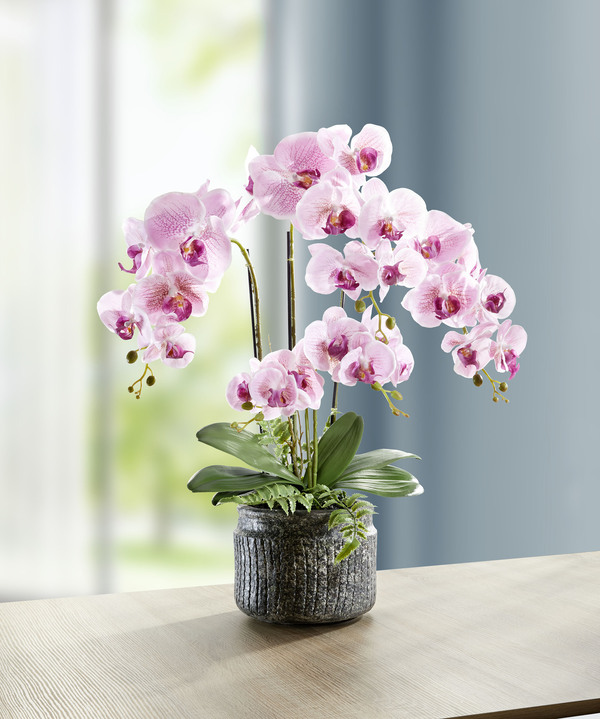 Kunst- & textielplanten - Orchideeën arrangement in een pot, in Farbe ROZE, in Ausführung groß