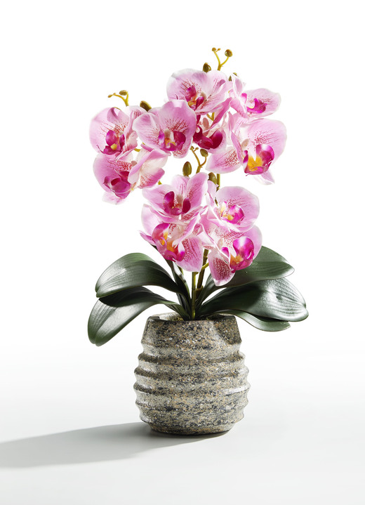 Kunst- & textielplanten - Orchideeën arrangement in een pot, in Farbe ROSA, in Ausführung kleine