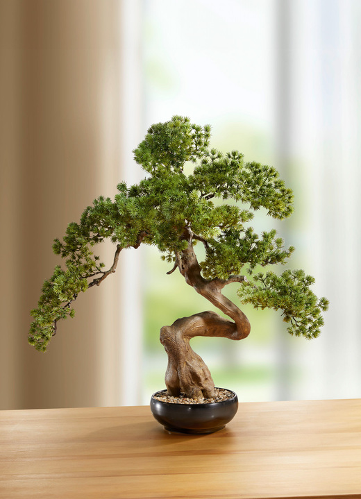 Kunst- & textielplanten - Bonsai in kom, in Farbe GRÜN