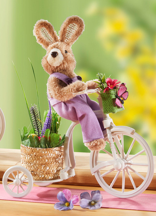 - Konijntje op de fiets - Konijntje op de fiets, in Farbe KLEURRIJK, in Ausführung konijn met paarse overall