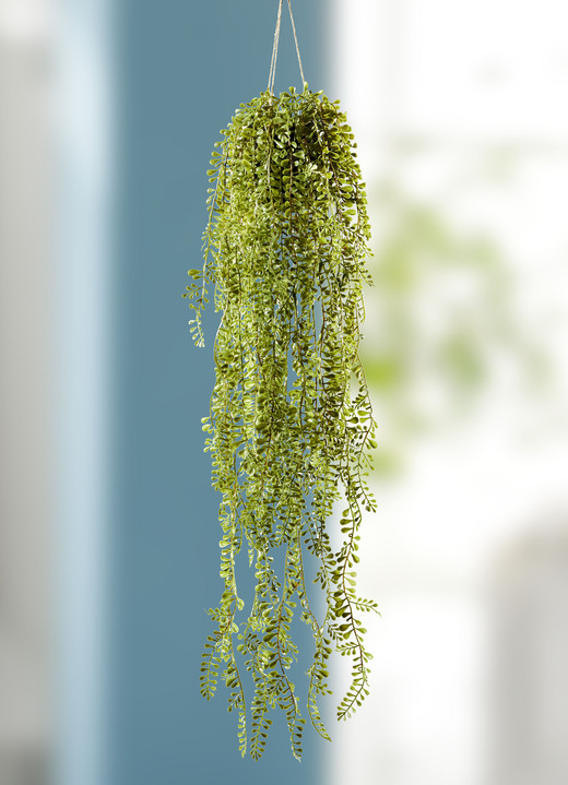 Kunst- & Textilpflanzen - Senecio-Hänger, in Farbe GRÜN