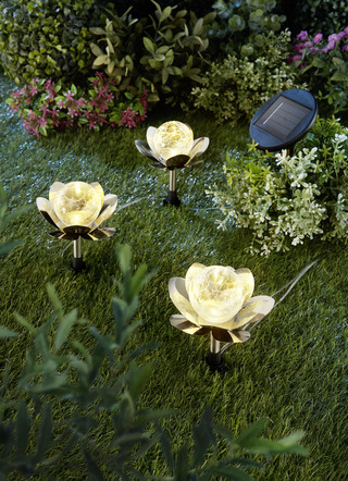 LED waterlelies, 3-delig