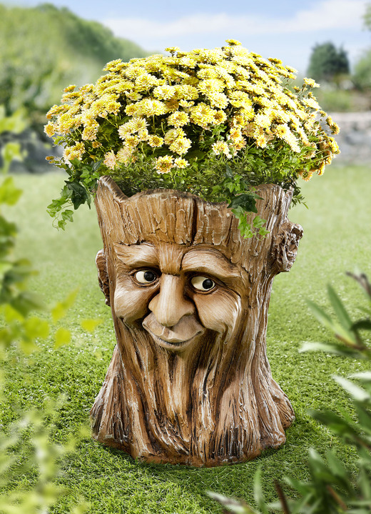 Plantenbakken - boomstronk van een plantenbak, in Farbe BRAUN