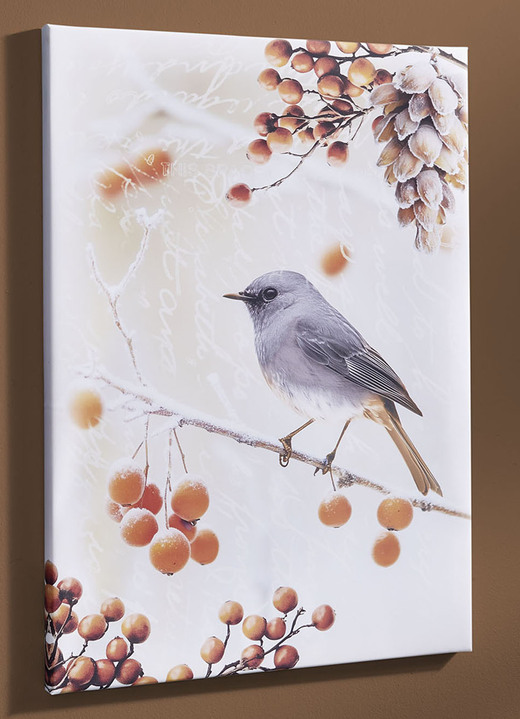 Dieren  - Foto Vogel van het Jaar 2025 Zwarte Roodstaart op canvas, in Farbe BUNT, in Ausführung Zwarte roodstaart vanaf de zijkant Ansicht 1