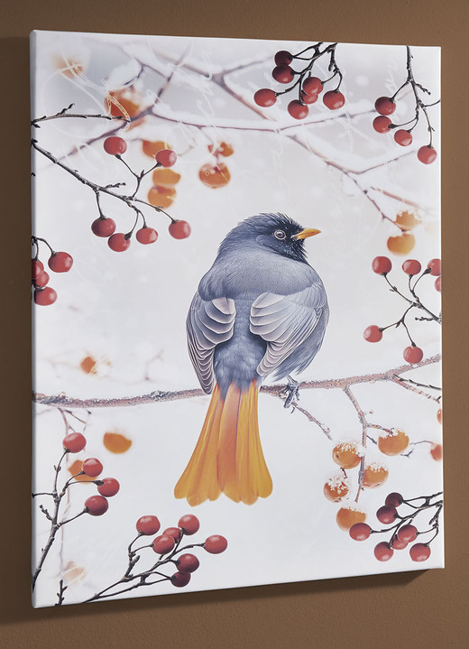 Dieren  - Foto Vogel van het Jaar 2025 Zwarte Roodstaart op canvas, in Farbe KLEURRIJK, in Ausführung Zwarte roodstaart van achteren Ansicht 1