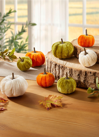 Decoratieve pompoenen, set van 8