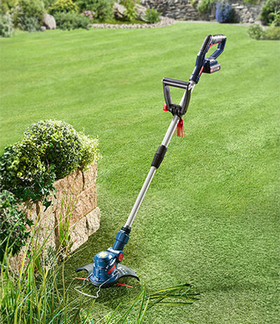 Sollicitatie voor de functie:Tuinonderhoud