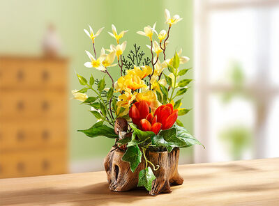 Bewerbung des Bereiches: Decoratie