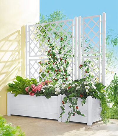 Sollicitatie voor de functie:Tuinonderhoud