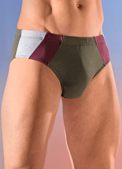 Set van vier slips met gekleurde inzetstukken 