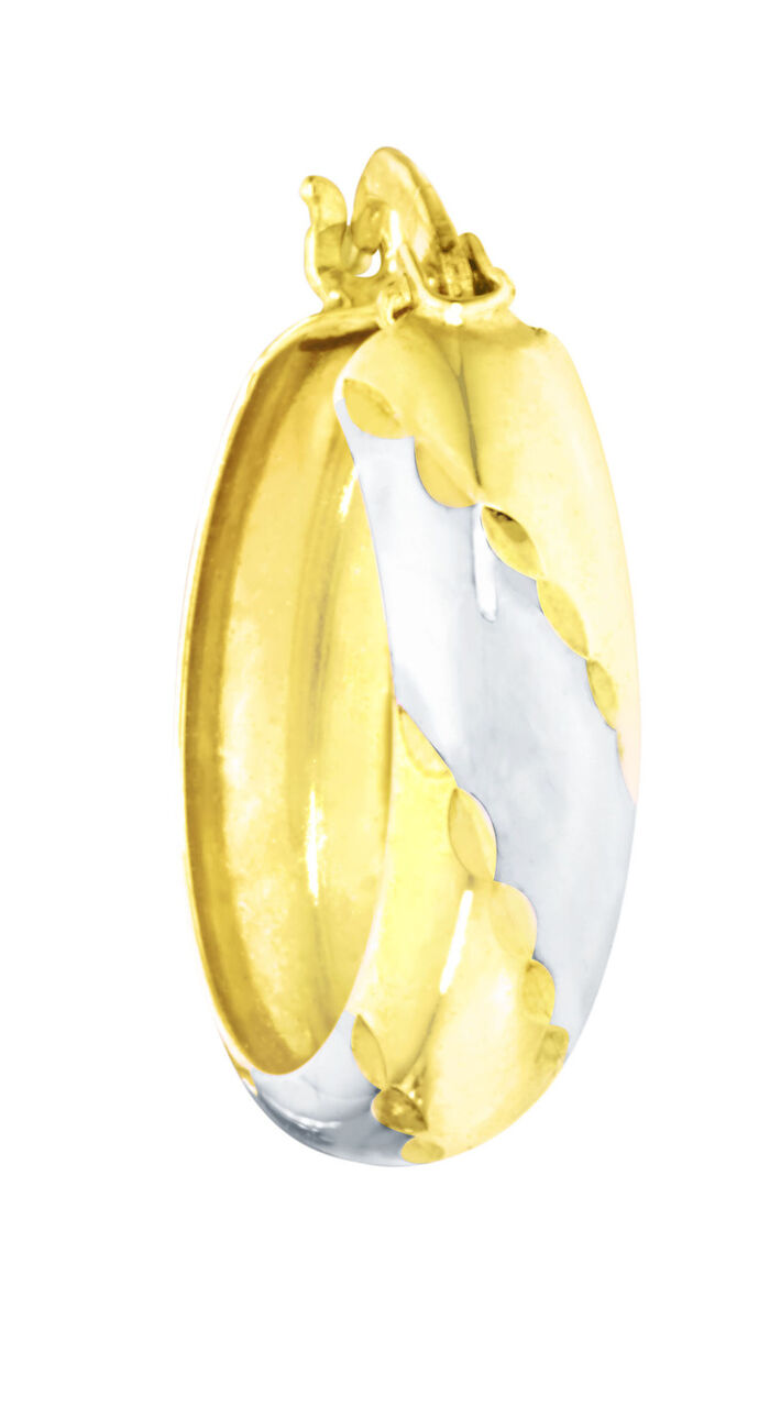 Edele creolen tweekleurig 