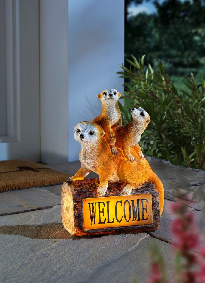 Solar Meerkat-familie Welkom 