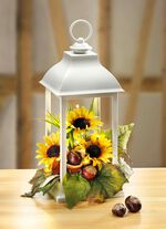 Lantaarn met verlichting 