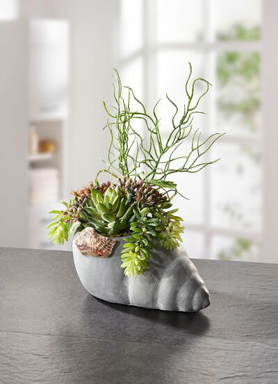 Opstelling in mosselpot 