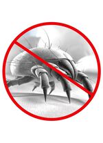 Mijtenstofzuiger &ndash; vernietigt 99,9% van alle mijten, bacteri&euml;n en ziektekiemen ROOD