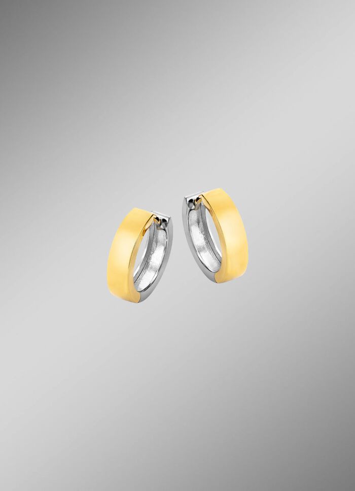 Dubbelzijdige creolen in twee kleuren 