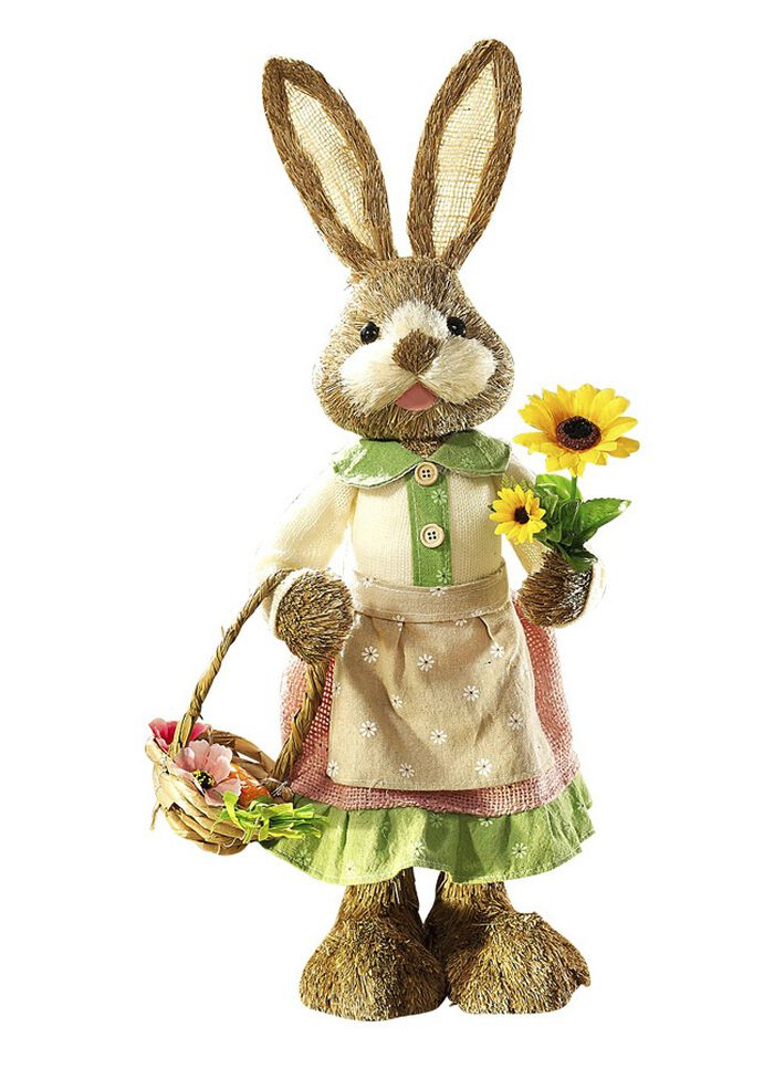 Hazen in verschillende uitvoeringen BRUIN