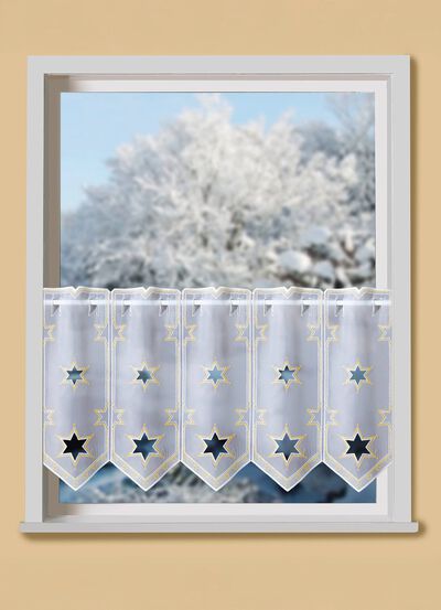 Elegant kort gordijn met Plauen-borduurwerk 