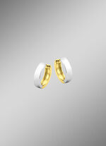 Dubbelzijdige creolen in twee kleuren 