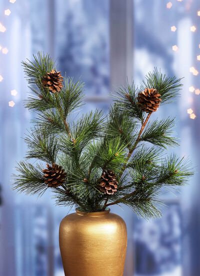 Pijnboomtakken met echte pijnappels, set van 2 