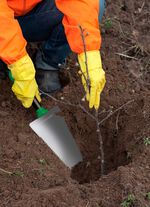 Multifunctionele schopwortelgraafmachine 