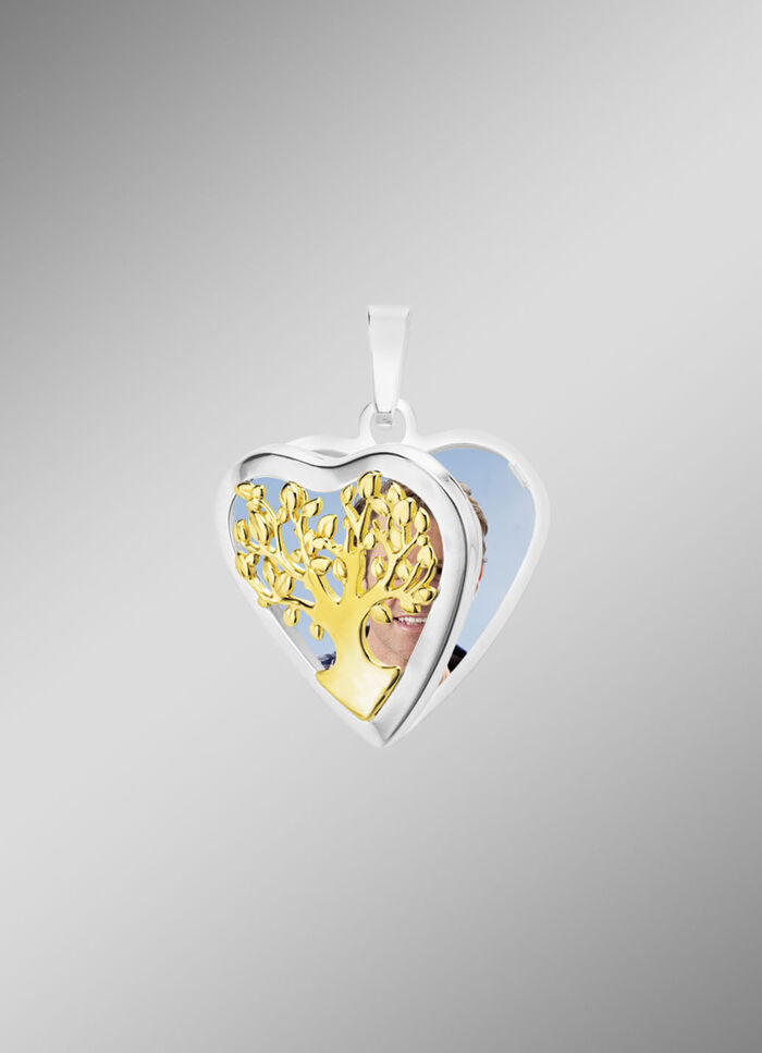 Hartvormig medaillon in tweekleurig om te openen 