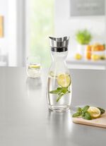 Glazen karaf met roestvrijstalen tuit 