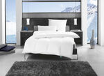 F.a.n. Premium beddengoedprogramma 