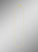 Gouden ankerketting 