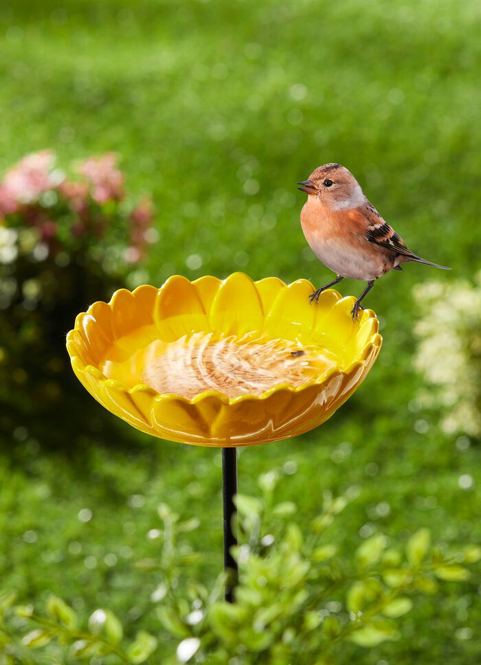 Vogelbad van geglazuurd keramiek 