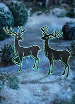 Hert, nachtlicht (terugkijkend) SCHWARZ