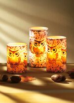 Echte waskaarsen met leds met uilenmotief, set van 3 