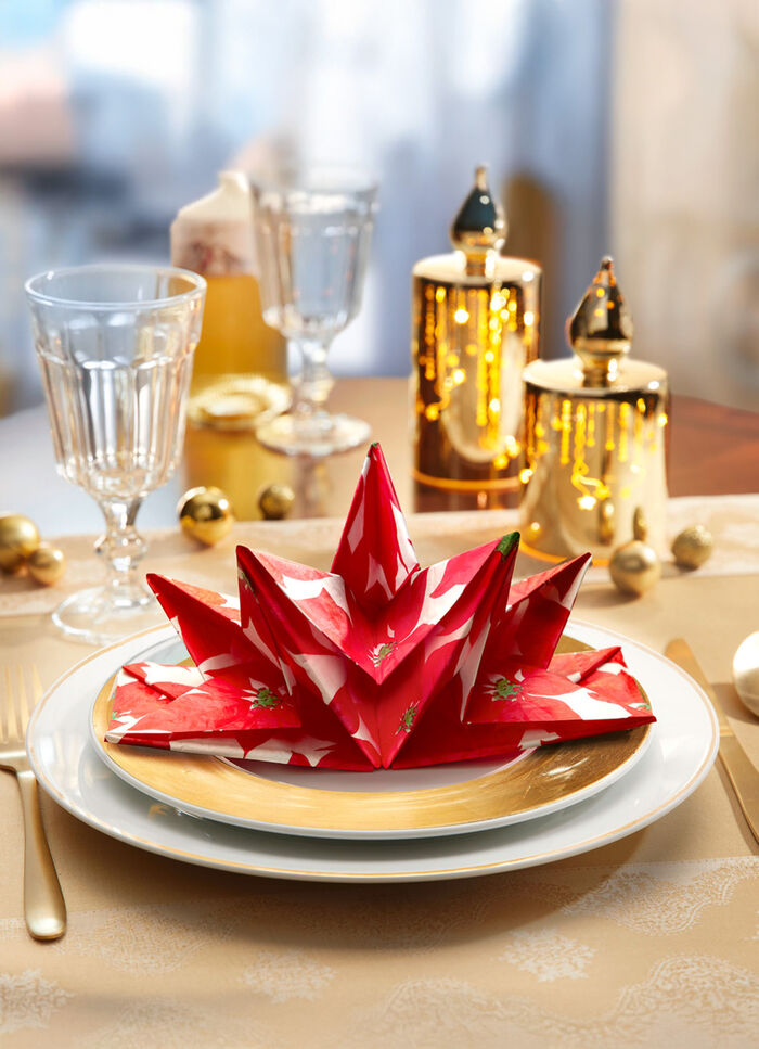 Gevouwen servetten, set van 8 