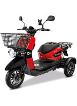 Rolektro - De e-scooter - Duurzame mobiliteit onderweg 