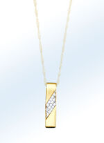 Charmante hanger zonder ketting 