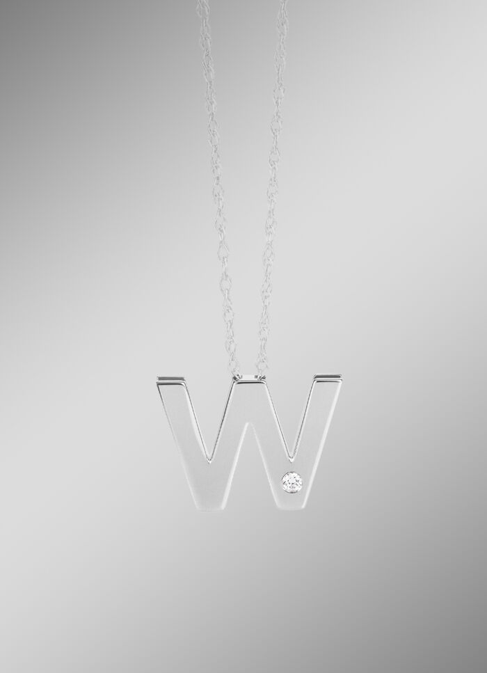 Uniek en elegant: Platina letterhanger 