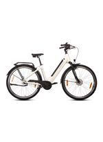 E-bike Comfort Plus 5.0 van Saxonette 