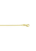 Gouden ankerketting 