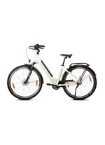 E-bike Comfort Plus 5.0 van Saxonette 