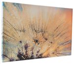 Canvasfoto met certificaat 