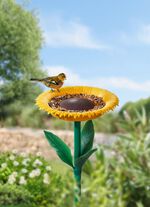 Voederstation voor zonnebloemvogels 
