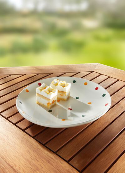 Dolomiet serviesgoed 