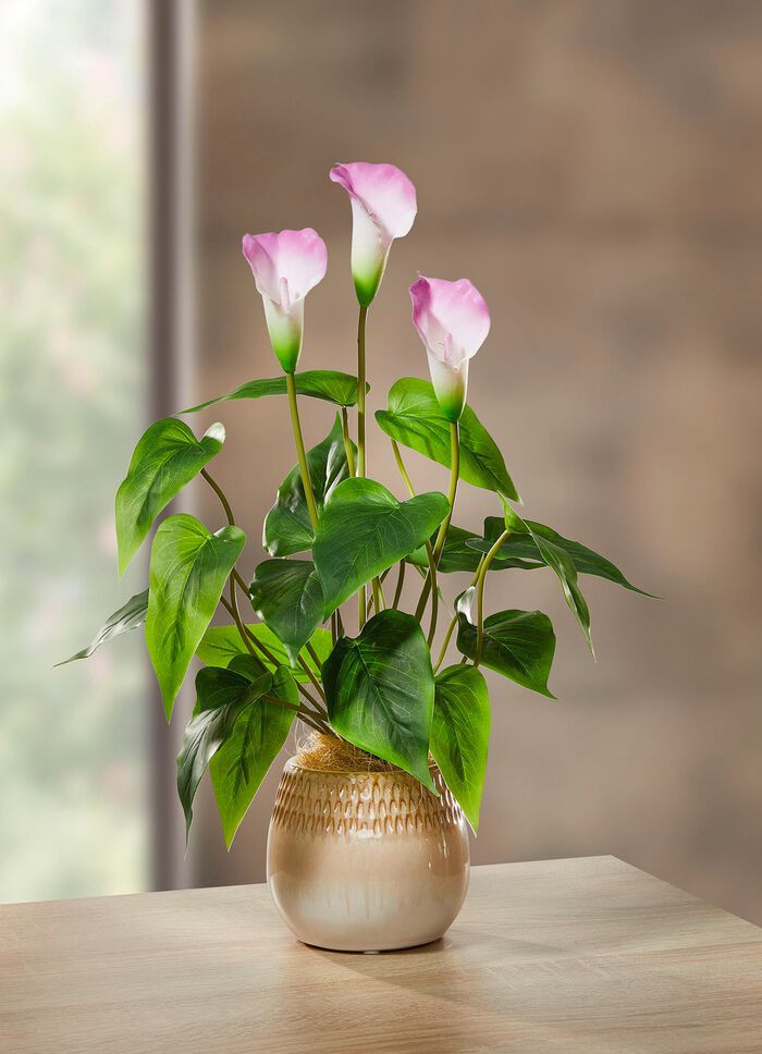 Galla arrangement in een keramieken pot 