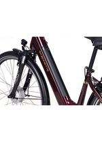 E-bike Comfort Plus 5.0 van Saxonette 