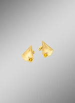 Interessante oorbellen met echte citrien 