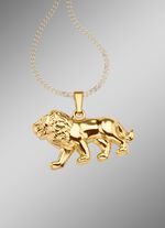 Hoogglans leeuwenhanger 