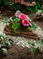 rotan hartvormig arrangement 